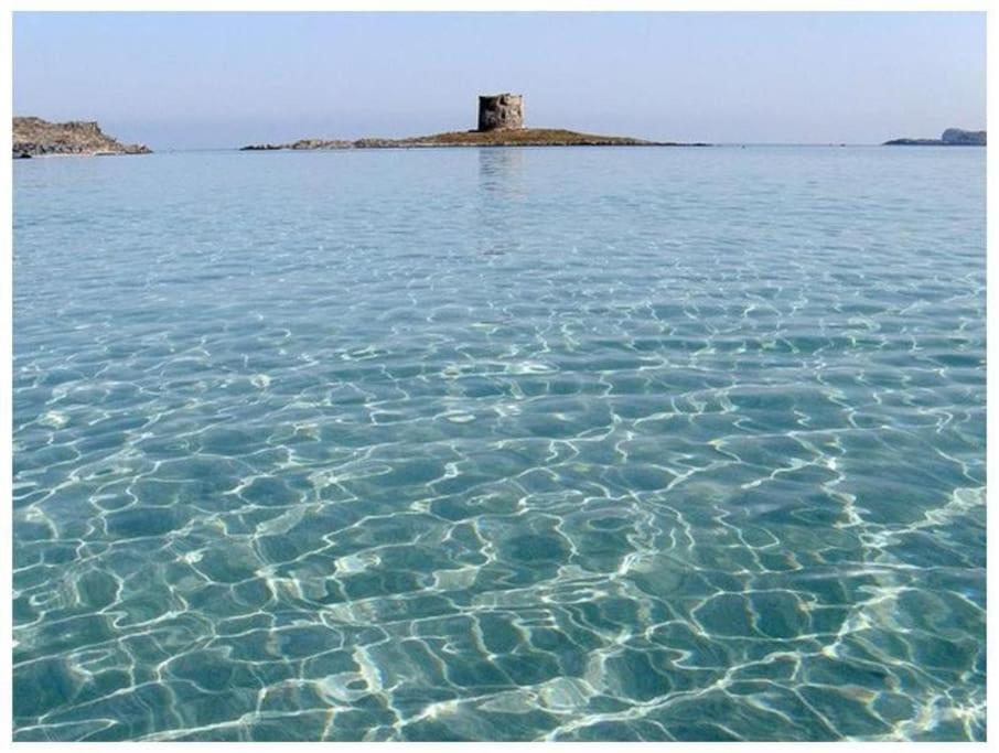 スティンティーノL' Elicriso, A Pochi Passi Dal Mare Con Giardino Privato - The Elicriso, A Few Meters From The Sea, With Private Gardenアパートメント エクステリア 写真