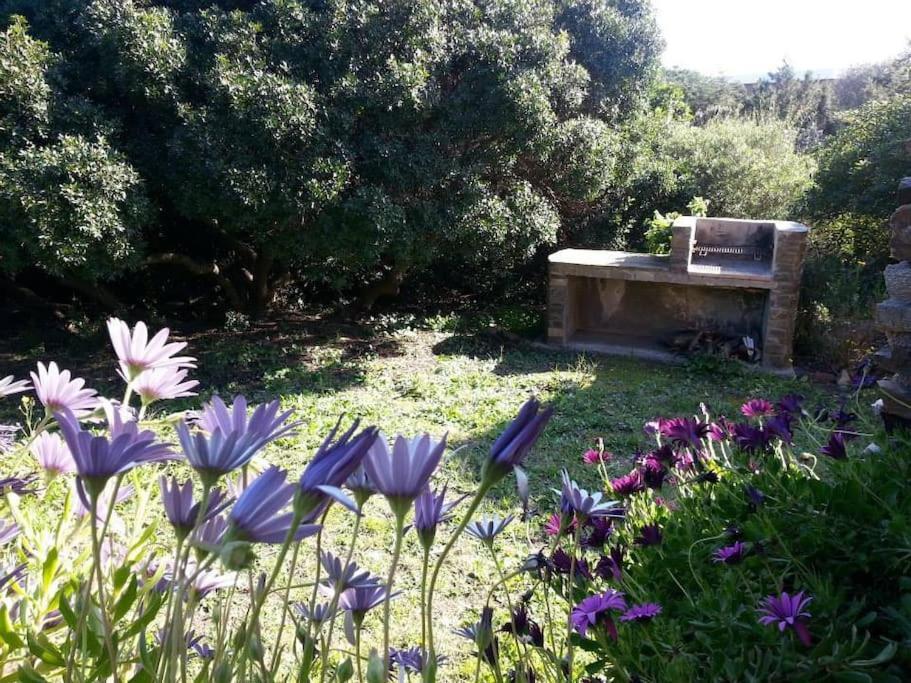 スティンティーノL' Elicriso, A Pochi Passi Dal Mare Con Giardino Privato - The Elicriso, A Few Meters From The Sea, With Private Gardenアパートメント エクステリア 写真