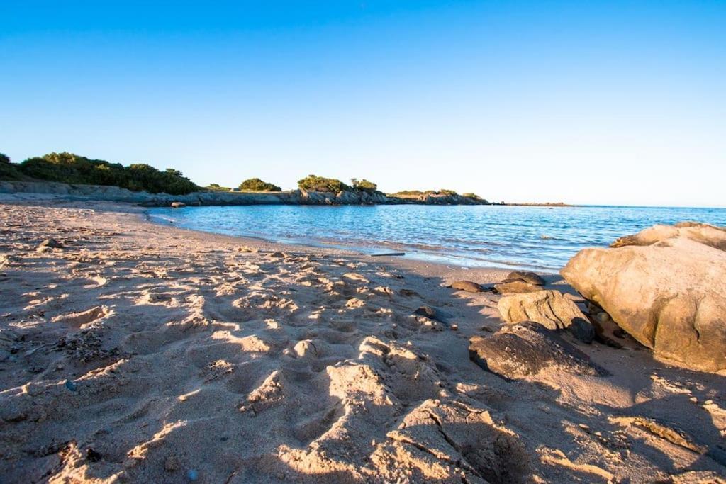 スティンティーノL' Elicriso, A Pochi Passi Dal Mare Con Giardino Privato - The Elicriso, A Few Meters From The Sea, With Private Gardenアパートメント エクステリア 写真