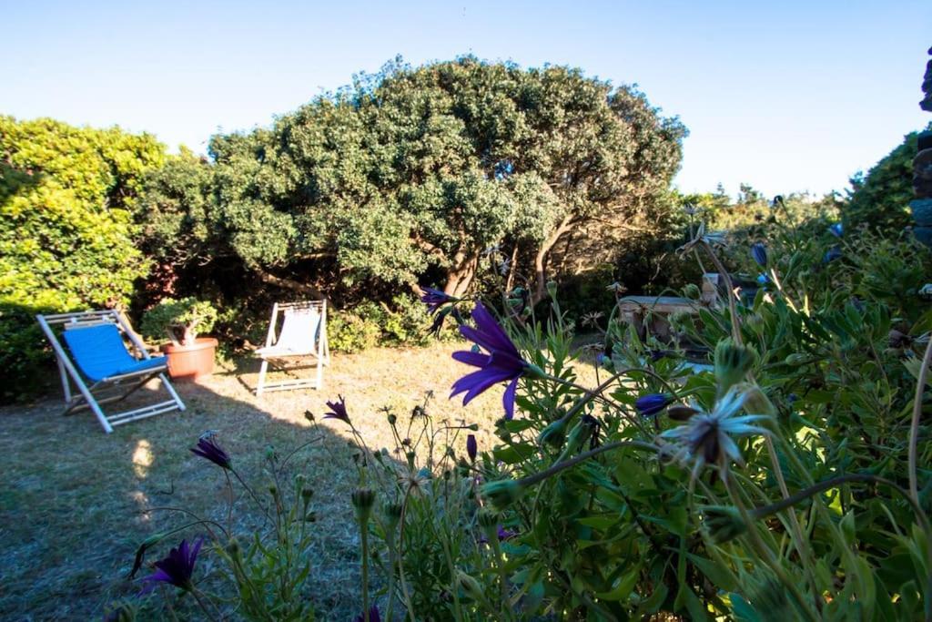 スティンティーノL' Elicriso, A Pochi Passi Dal Mare Con Giardino Privato - The Elicriso, A Few Meters From The Sea, With Private Gardenアパートメント エクステリア 写真