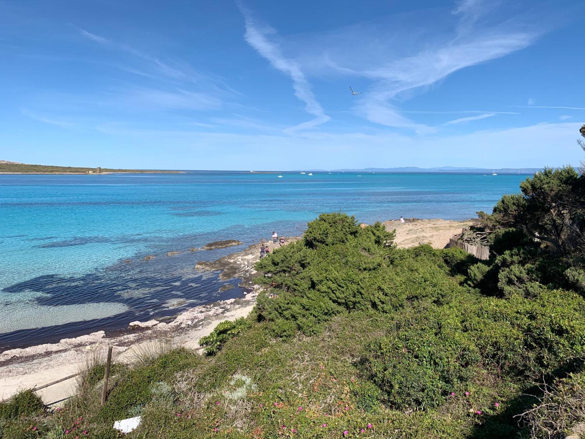 スティンティーノL' Elicriso, A Pochi Passi Dal Mare Con Giardino Privato - The Elicriso, A Few Meters From The Sea, With Private Gardenアパートメント エクステリア 写真