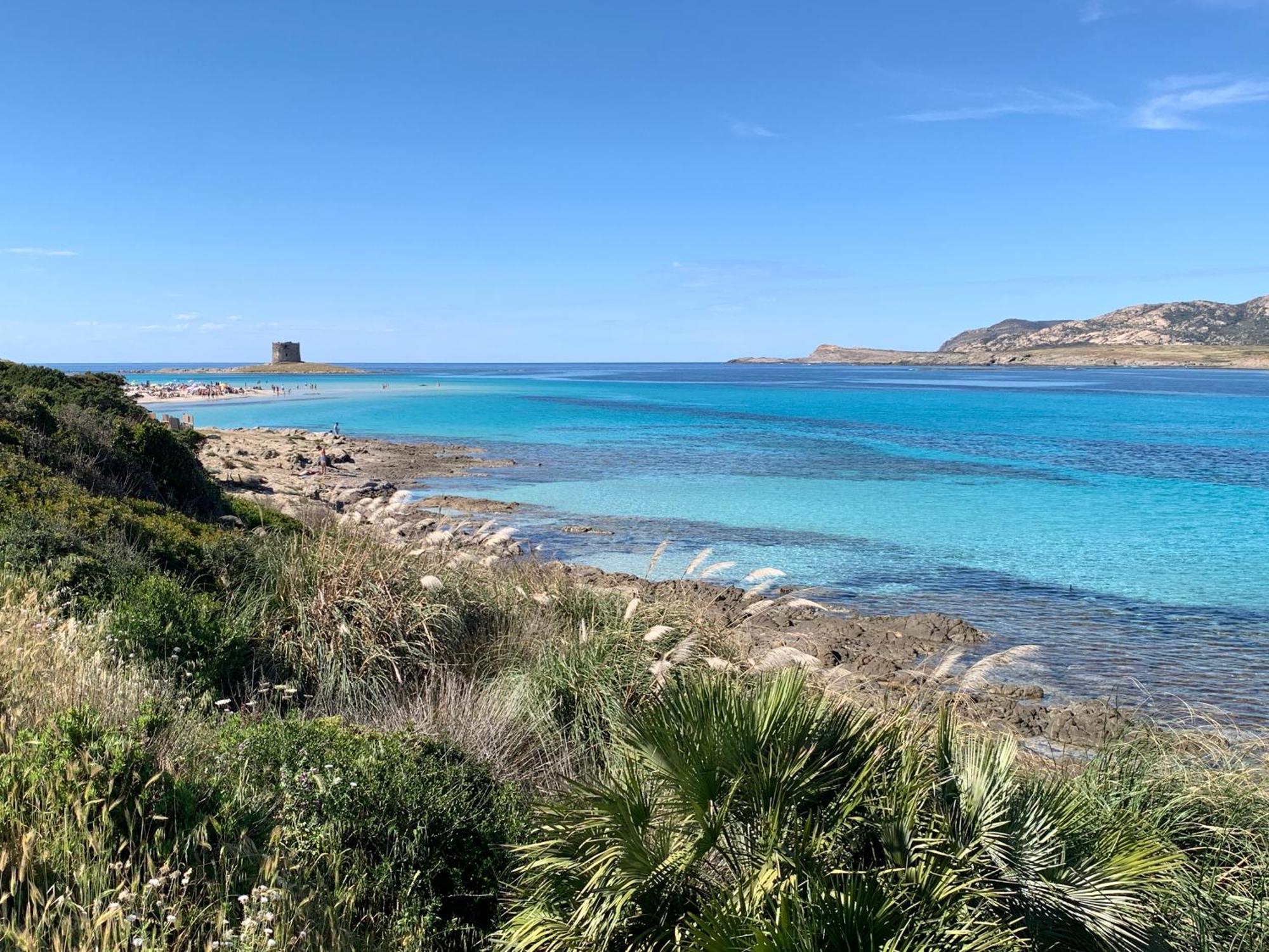 スティンティーノL' Elicriso, A Pochi Passi Dal Mare Con Giardino Privato - The Elicriso, A Few Meters From The Sea, With Private Gardenアパートメント エクステリア 写真