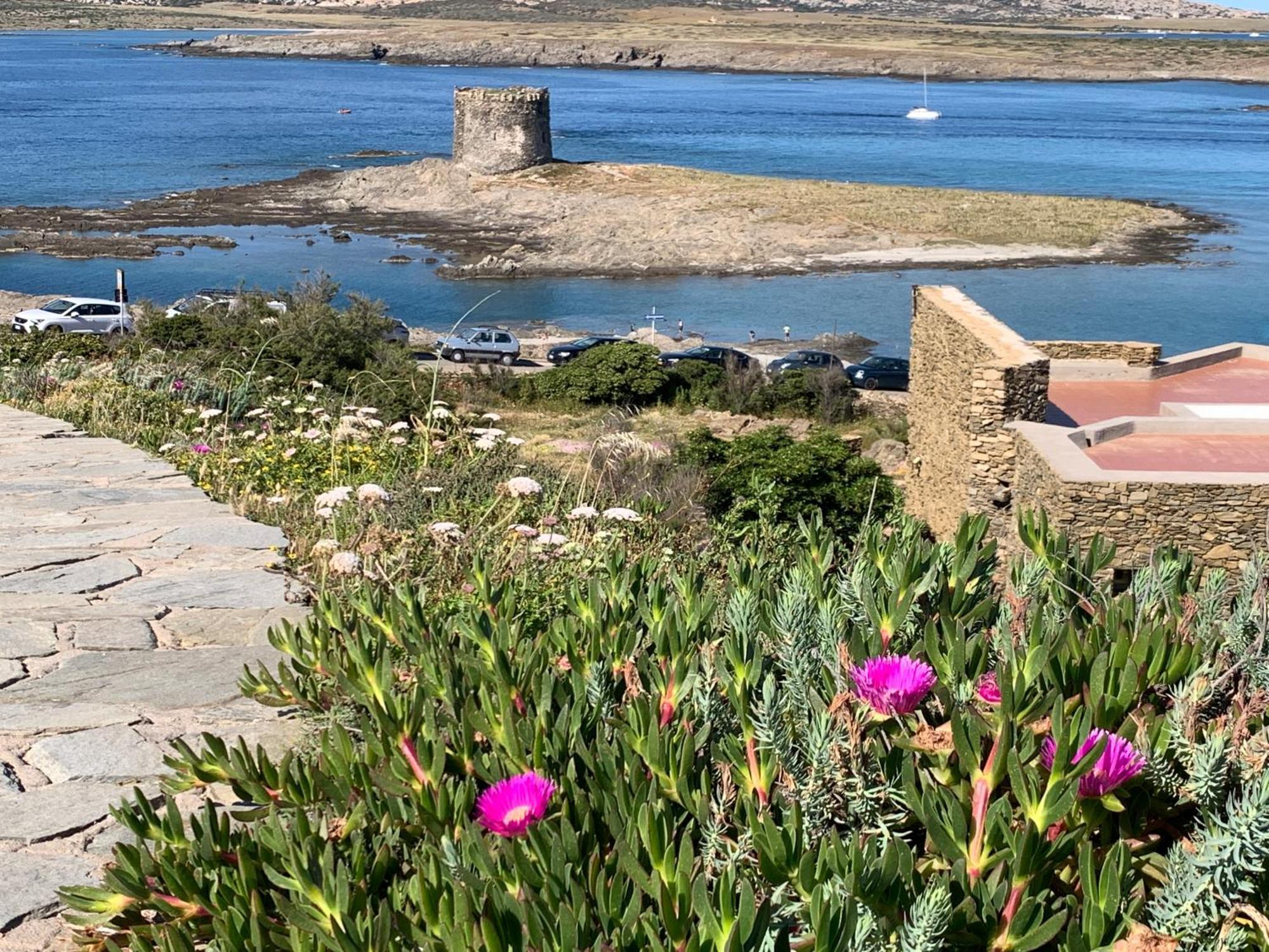 スティンティーノL' Elicriso, A Pochi Passi Dal Mare Con Giardino Privato - The Elicriso, A Few Meters From The Sea, With Private Gardenアパートメント エクステリア 写真